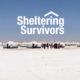 Sheltering Survivors